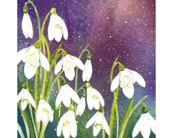 'Snowdrops in the Night' Christmas Cards