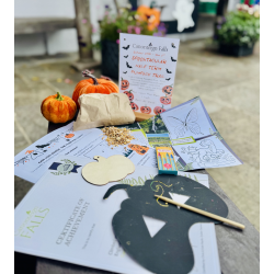 Children's Pumpkin Trail Activity Bag: Halloween trail, scratch art, duck food, pencils, certificate,  little prize
