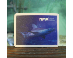 Wooden Shark Magnet