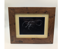 A brush with Africa Buffalo D Framed