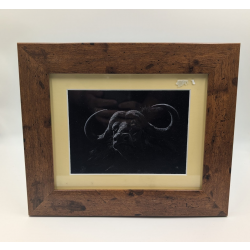 A brush with Africa Buffalo D Framed