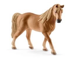 Tennessee Walker mare
