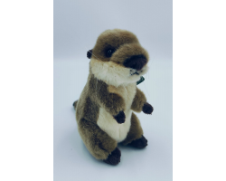 Living Nature Otter Cub