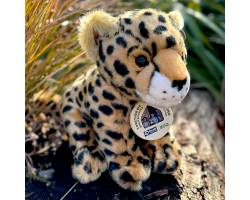 Plan Cheetah (L)