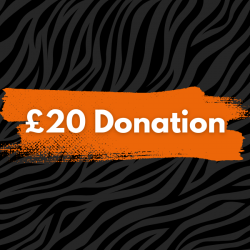 Donation £20