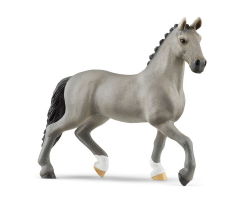 Cheval de Selle stallion