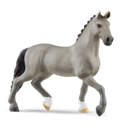 Cheval de Selle stallion