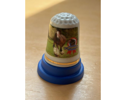 Cotebrook thimble