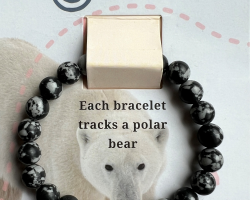 Polar Bear Fahlo Tracking Bracelet