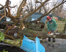 Damage from Storm Goretti