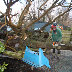 Damage from Storm Goretti