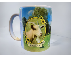 Adopt a Goat Mug- Anoushka