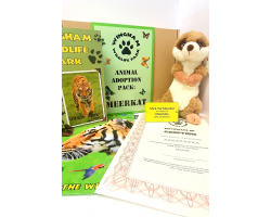 Meerkat Adoption Gift Box (inc. delivery)