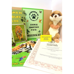 Meerkat Adoption Gift Box (inc. delivery)