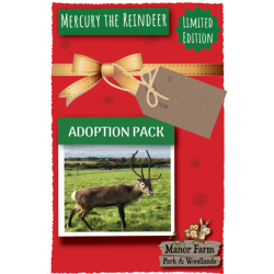 Mercury the Reindeer Adoption