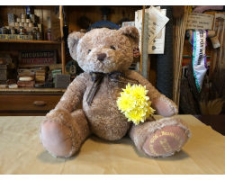 Beamish Golden Jubilee GIANT Bear - Limited Edition