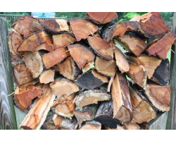 Softwood Logs 1.2 cubic metre load