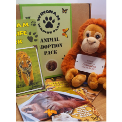 Orangutan Adoption Gift Box (inc. delivery)