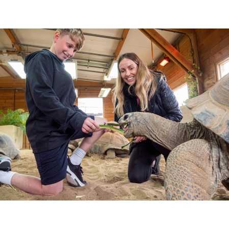 Junior Animals of The World Experience Option 3