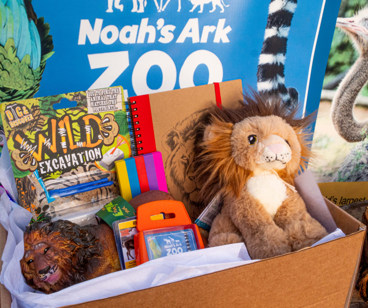 Mystery Animal Toy Gift Box