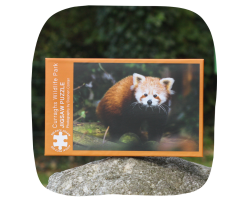 Wildlife Park jigsaw - Panda