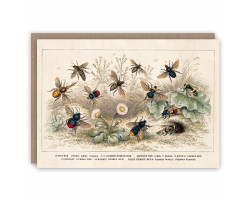 Honey Bees greetings card