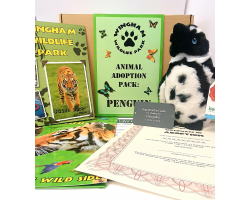 Penguin Adoption Gift Box (inc. delivery)
