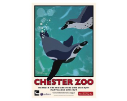 A3 Chester Zoo Penguin Poster