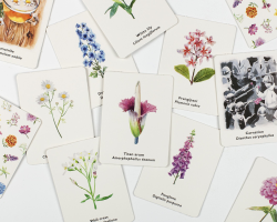 Pick a Flower memory game