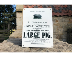 Large Pig Enamel Sign