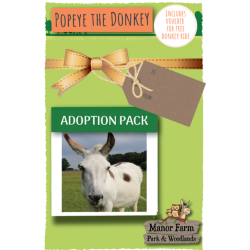 Popeye the Donkey Adoption