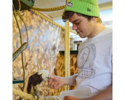 Primate and Meerkat Experience for 1