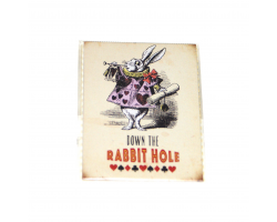 Alice in Wonderland "Down the Rabbit Hole" Magnet