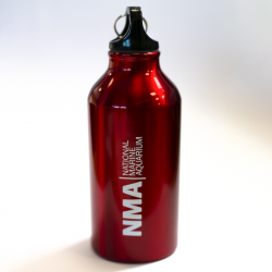 NMA Aluminium Bottle - Red
