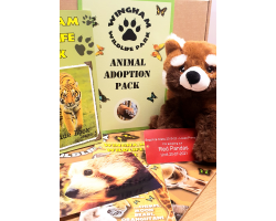 Red Panda Adoption Gift Box (inc. delivery)