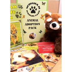 Red Panda Adoption Gift Box (inc. delivery)