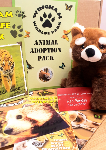 Red Panda Adoption Gift Box (inc. delivery)