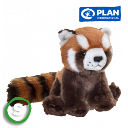 Plan Red Panda (S)