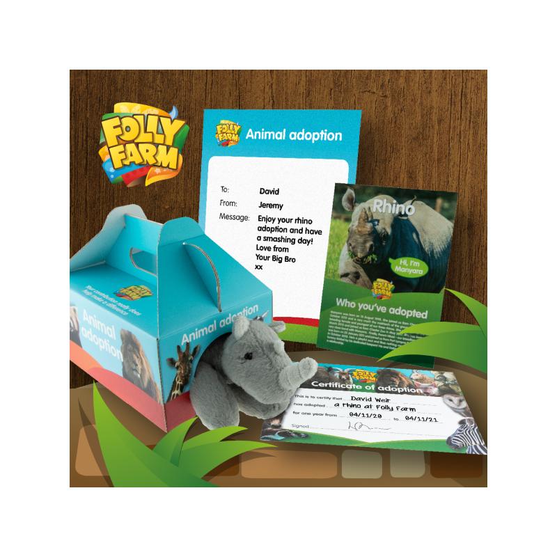 Rhino adoption silver