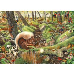 Save Our Squirrels 1000