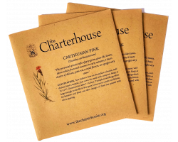 Carthusian Pink Seed Mix