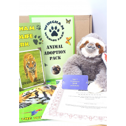 Sloth Adoption Gift Box (inc. delivery)