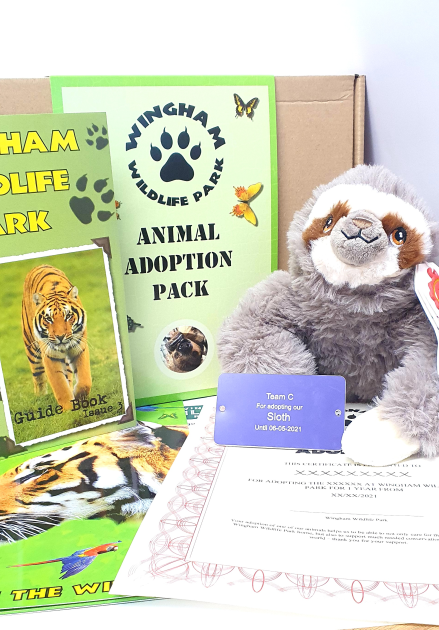 Sloth Adoption Gift Box (inc. delivery)