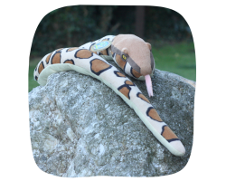 Snake (python)