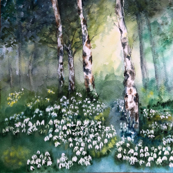 'Snowdrop Walk' Notelets