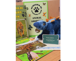 Stegosaurus Adoption Gift Box (inc. delivery)