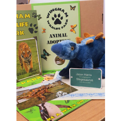 Stegosaurus Adoption Gift Box (inc. delivery)