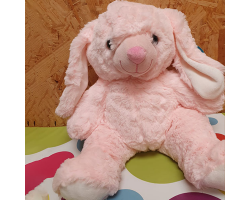 Ruby The Pink Rabbit