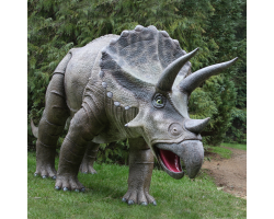 Triceratops - Terry