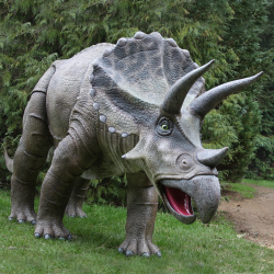 Triceratops - Terry